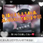 ヒメ日記 2025/09/21 02:23 投稿 りょう 肉体の門