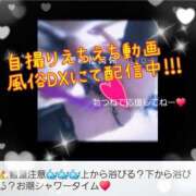 ヒメ日記 2025/09/24 02:29 投稿 りょう 肉体の門