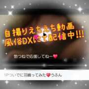 ヒメ日記 2025/12/10 01:45 投稿 りょう 肉体の門