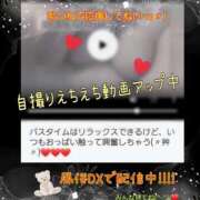 ヒメ日記 2025/01/22 14:56 投稿 りょう 御奉仕関係 -淑女の秘め事-