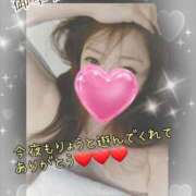 ヒメ日記 2025/01/25 03:49 投稿 りょう 御奉仕関係 -淑女の秘め事-