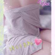 ヒメ日記 2025/02/20 15:22 投稿 りょう 御奉仕関係 -淑女の秘め事-