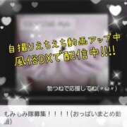 ヒメ日記 2025/06/11 08:30 投稿 りょう 御奉仕関係 -淑女の秘め事-