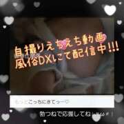 ヒメ日記 2025/07/14 04:31 投稿 りょう 御奉仕関係 -淑女の秘め事-