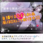 ヒメ日記 2025/11/28 03:37 投稿 りょう 御奉仕関係 -淑女の秘め事-