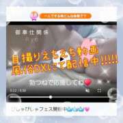 ヒメ日記 2026/06/05 16:54 投稿 りょう 御奉仕関係 -淑女の秘め事-