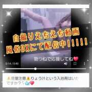 ヒメ日記 2026/10/23 02:36 投稿 りょう 御奉仕関係 -淑女の秘め事-