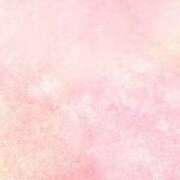 ヒメ日記 2025/02/26 18:16 投稿 はな アドミsince2002立川デリヘル&Go To FANTASY東京本店