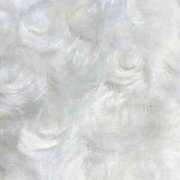 ヒメ日記 2025/11/26 13:32 投稿 はな アドミsince2002立川デリヘル&Go To FANTASY東京本店