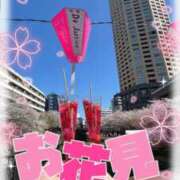 ヒメ日記 2025/03/31 19:00 投稿 まりん 奥様特急　池袋・大塚店