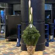 ヒメ日記 2025/01/02 23:34 投稿 まりん 奥様特急　上野・鶯谷店