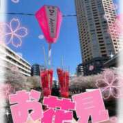 ヒメ日記 2025/03/31 19:11 投稿 まりん 奥様特急　上野・鶯谷店