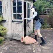 ヒメ日記 2024/12/12 21:02 投稿 内勤あらき 晴れんち