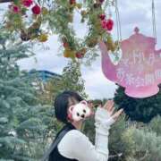 ヒメ日記 2024/12/21 21:02 投稿 内勤あらき 晴れんち