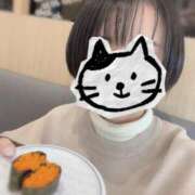 ヒメ日記 2025/01/11 19:59 投稿 内勤あらき 晴れんち