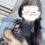 ヒメ日記 2025/02/05 20:02 投稿 内勤あらき 晴れんち