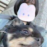 ヒメ日記 2025/02/06 17:00 投稿 内勤あらき 晴れんち