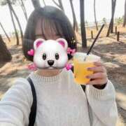 ヒメ日記 2025/04/09 14:52 投稿 内勤あらき 晴れんち