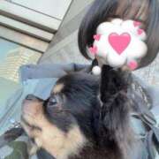 ヒメ日記 2025/04/14 20:03 投稿 内勤あらき 晴れんち