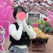 ヒメ日記 2025/05/04 19:52 投稿 内勤あらき 晴れんち