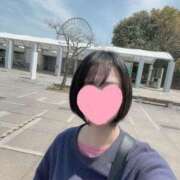 ヒメ日記 2025/05/08 08:02 投稿 内勤あらき 晴れんち