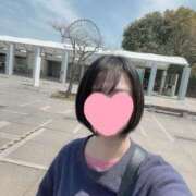 ヒメ日記 2025/05/15 21:12 投稿 内勤あらき 晴れんち