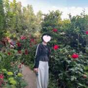 ヒメ日記 2025/05/16 08:12 投稿 内勤あらき 晴れんち