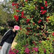 ヒメ日記 2025/05/17 08:02 投稿 内勤あらき 晴れんち