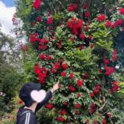 ヒメ日記 2025/05/18 08:12 投稿 内勤あらき 晴れんち