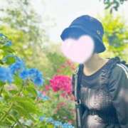 ヒメ日記 2025/05/20 08:02 投稿 内勤あらき 晴れんち