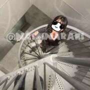 ヒメ日記 2025/05/20 21:02 投稿 内勤あらき 晴れんち