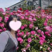 ヒメ日記 2025/05/24 08:02 投稿 内勤あらき 晴れんち