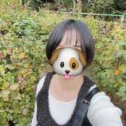 ヒメ日記 2025/05/24 21:02 投稿 内勤あらき 晴れんち