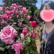 ヒメ日記 2025/05/25 08:12 投稿 内勤あらき 晴れんち