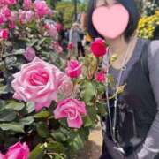 ヒメ日記 2025/05/26 08:17 投稿 内勤あらき 晴れんち