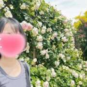 ヒメ日記 2025/05/27 08:12 投稿 内勤あらき 晴れんち