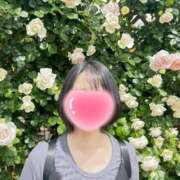 ヒメ日記 2025/05/28 08:02 投稿 内勤あらき 晴れんち