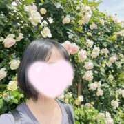 ヒメ日記 2025/05/29 08:12 投稿 内勤あらき 晴れんち