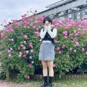 ヒメ日記 2025/06/01 07:02 投稿 内勤あらき 晴れんち