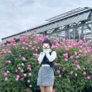 ヒメ日記 2025/06/04 07:12 投稿 内勤あらき 晴れんち