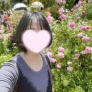 ヒメ日記 2025/06/04 21:02 投稿 内勤あらき 晴れんち