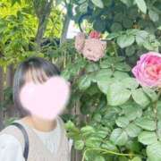 ヒメ日記 2025/06/06 07:12 投稿 内勤あらき 晴れんち