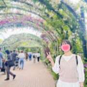 ヒメ日記 2025/06/10 07:12 投稿 内勤あらき 晴れんち