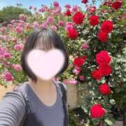 ヒメ日記 2025/06/18 21:16 投稿 内勤あらき 晴れんち