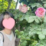 ヒメ日記 2025/06/22 07:12 投稿 内勤あらき 晴れんち