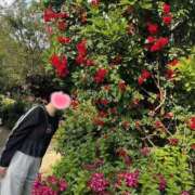 ヒメ日記 2025/07/01 12:03 投稿 内勤あらき 晴れんち