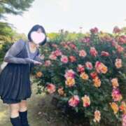 ヒメ日記 2025/07/05 12:04 投稿 内勤あらき 晴れんち