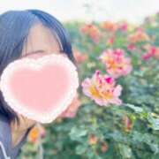 ヒメ日記 2025/07/09 12:03 投稿 内勤あらき 晴れんち