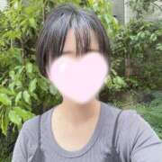 ヒメ日記 2025/07/12 12:04 投稿 内勤あらき 晴れんち