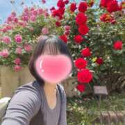 ヒメ日記 2025/07/12 21:07 投稿 内勤あらき 晴れんち